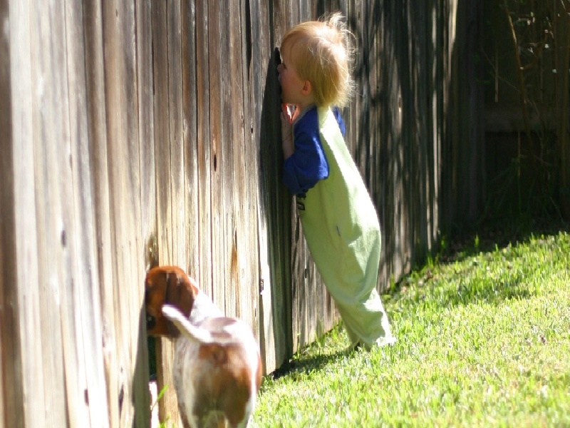 延吉医院试管婴儿（广东医院试管推荐）